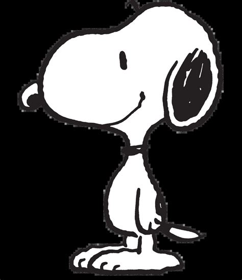  Five of the siblings appeared at some point in the Peanuts comic strip; Molly and Rover only appear in this special. Snoopy's Reunion is the 34th prime-time animated TV special based upon the comic strip Peanuts, by Charles M. Schulz. It originally aired on the CBS network on May 1, 1991 as part of the animated anthology series Toon Nite. [1] 